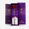 879 24K Artificial Golden Rose/Gold Red Rose with Gift Box (10 inches) 